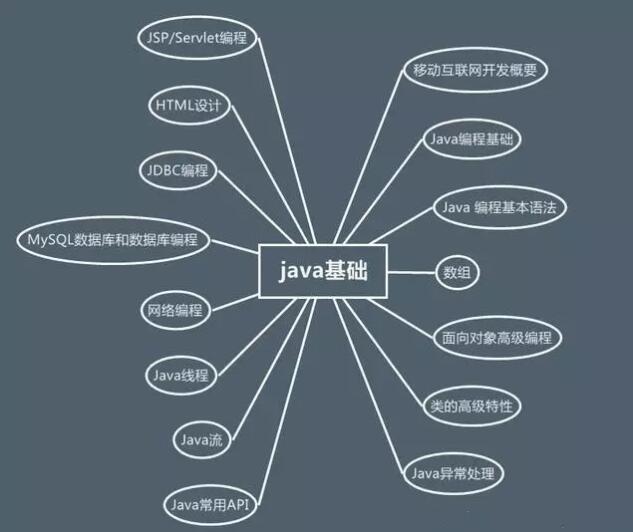 零基础看 Java 优学网数组课:轻松入门,高效掌握编程核心